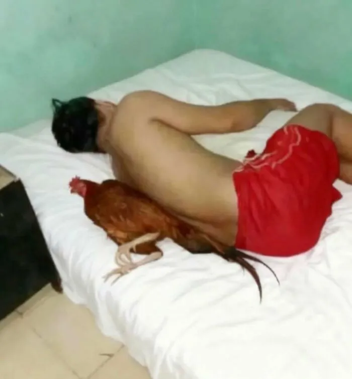 79 Cursed Photos That Make Absolutely Zero Sense But Live Rent‑Free In Our Brains
