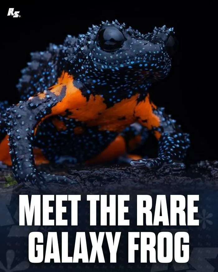 65 Rare And Extraordinary Photos Of Animals That Prove Nature Still Has Its Secrets