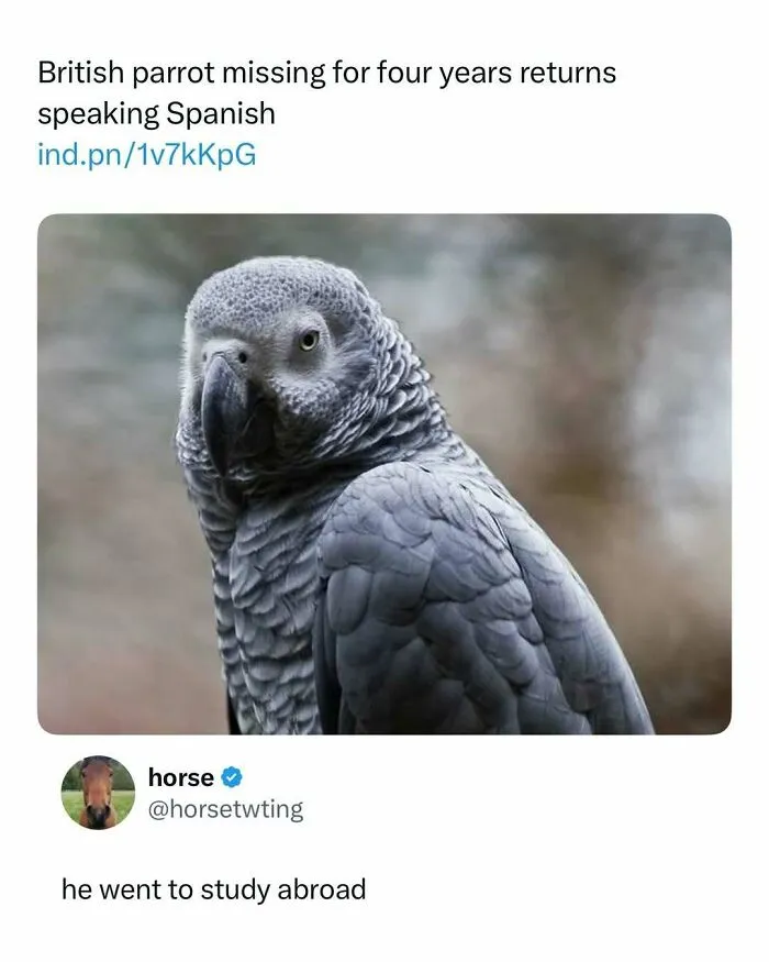 125 Amusing Posts From Across The Internet For Your Viewing Enjoyment