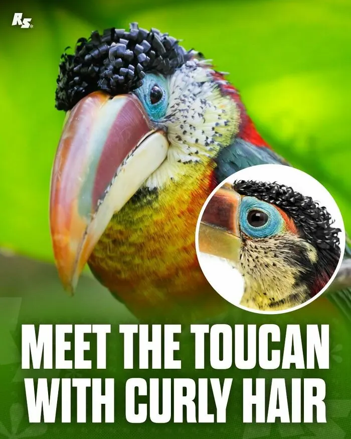65 Rare And Extraordinary Photos Of Animals That Prove Nature Still Has Its Secrets