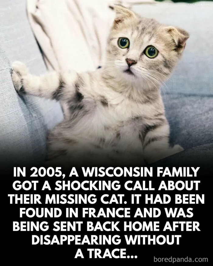 “Can’t Make This Up”: 79 Interesting Facts That Are Hard To Believe But Completely True (New Pics)