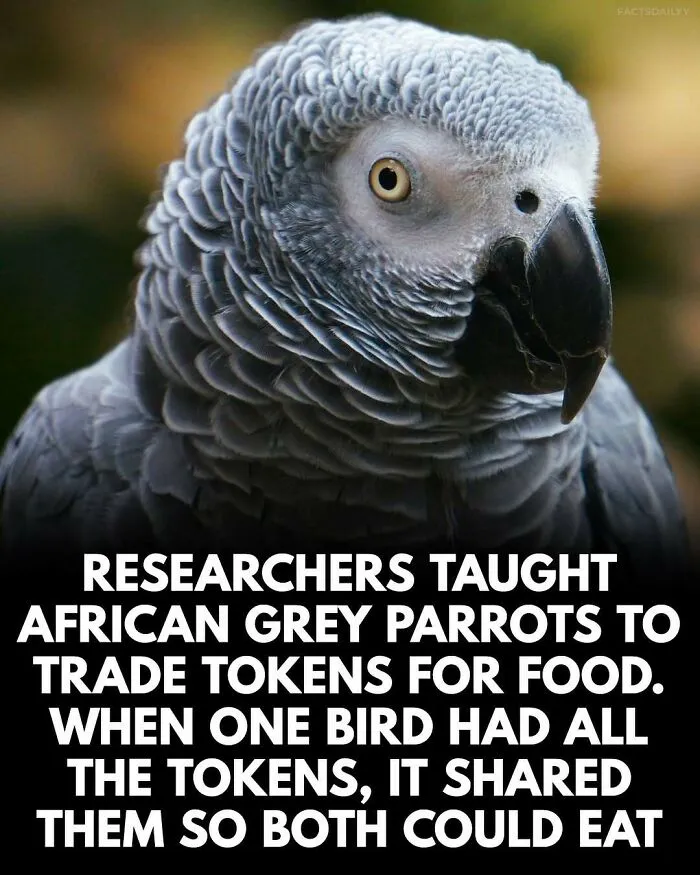 “Can’t Make This Up”: 79 Interesting Facts That Are Hard To Believe But Completely True (New Pics)