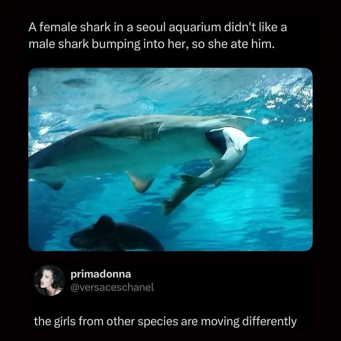 125 Amusing Posts From Across The Internet For Your Viewing Enjoyment