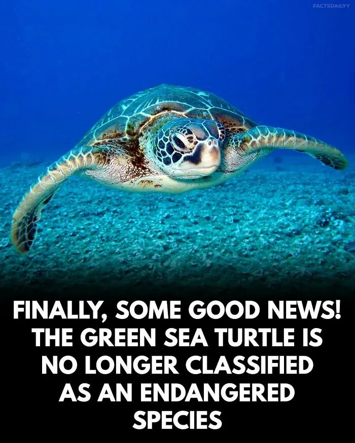 “Can’t Make This Up”: 79 Interesting Facts That Are Hard To Believe But Completely True (New Pics)