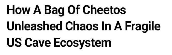 83 Absolutely Unhinged “New” Sentences That Have No Business Being This Funny