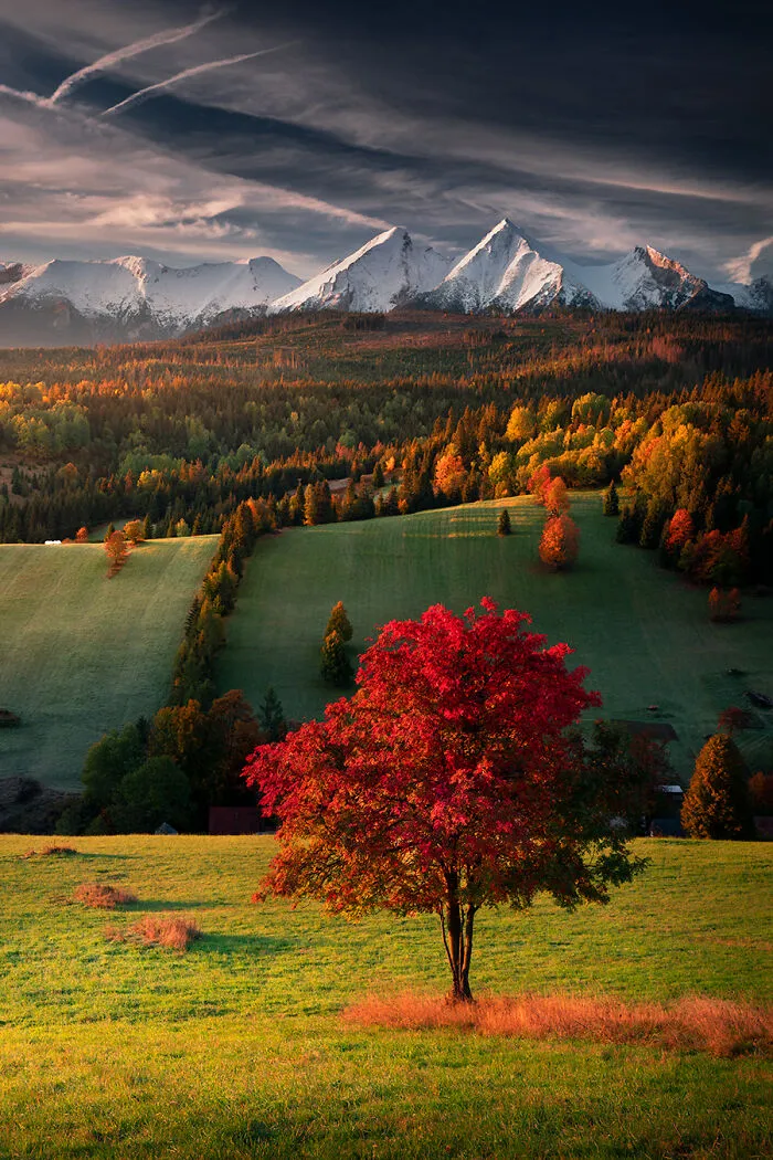42 Breathtaking Nature Photos By Karol Nienartowicz That Showcase The Beauty Of Poland