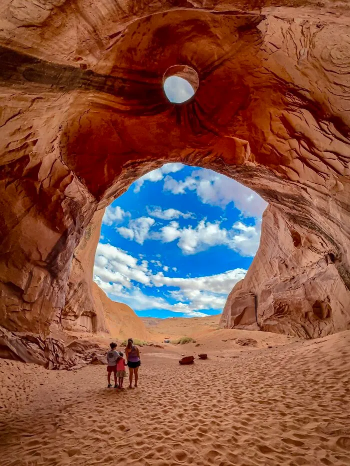 Honorable Mention, Landscapes & Wildlife: Looking Into Another Dimension By Jennifer Newitt