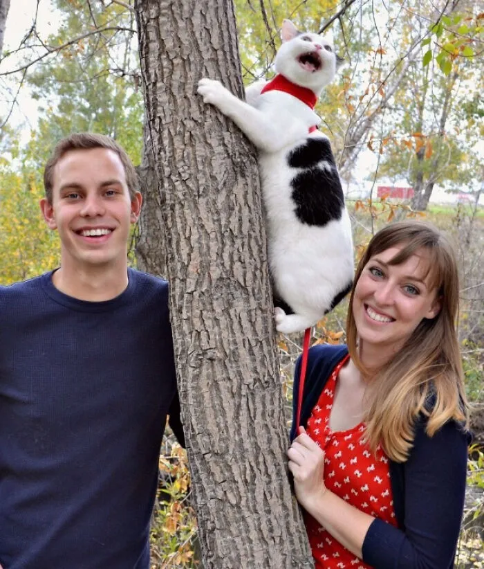 Family Pictures Including Our Cat Went... Okay