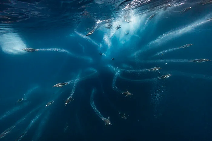 Power, 3rd Place: Jet Streams By Scott Portelli