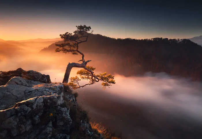 42 Breathtaking Nature Photos By Karol Nienartowicz That Showcase The Beauty Of Poland