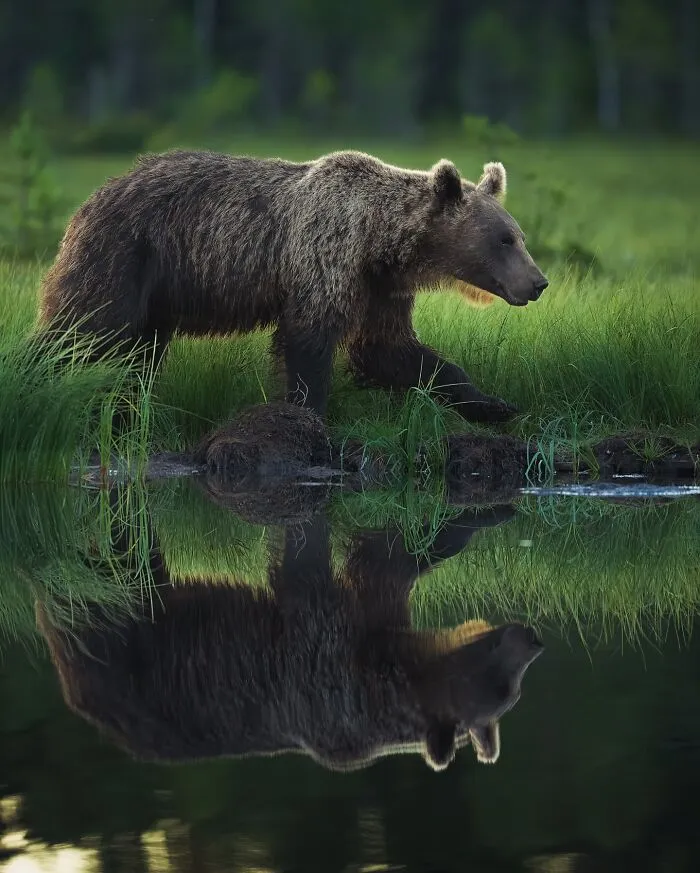 Stunning Wildlife Photography By Alexandra That Brings Us Closer To Nature (40 Pics)-Interview