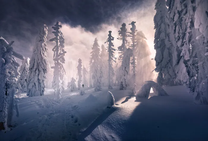 42 Breathtaking Nature Photos By Karol Nienartowicz That Showcase The Beauty Of Poland