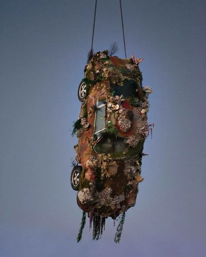 Sunken Romance Installation By Ada Zielinska