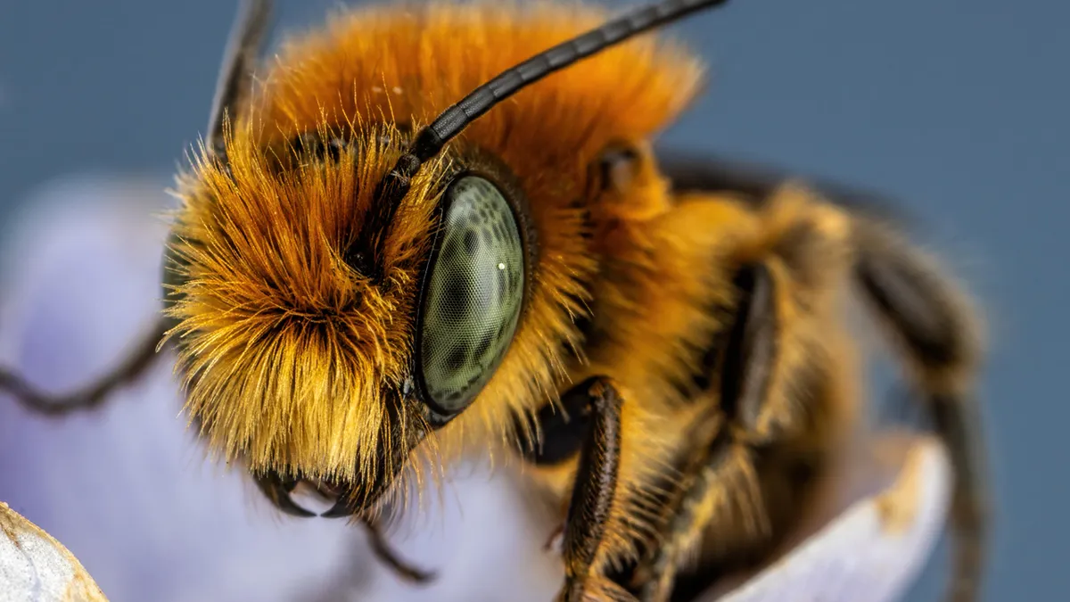 74 Amazing And Beautiful Photos That Might Make You Appreciate Animals Even More (New Pics)