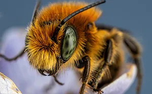 74 Amazing And Beautiful Photos That Might Make You Appreciate Animals Even More (New Pics)
