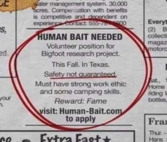 Classified ad seeking human bait for Bigfoot research in Texas, highlighting uncultured and ignorant Americans humor.