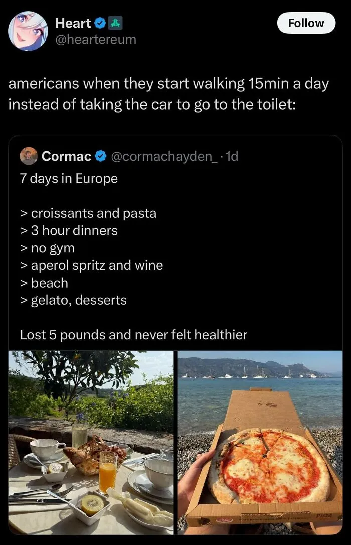 Screenshot of a humorous tweet mocking uncultured Americans contrasted with relaxed European lifestyle and dining.