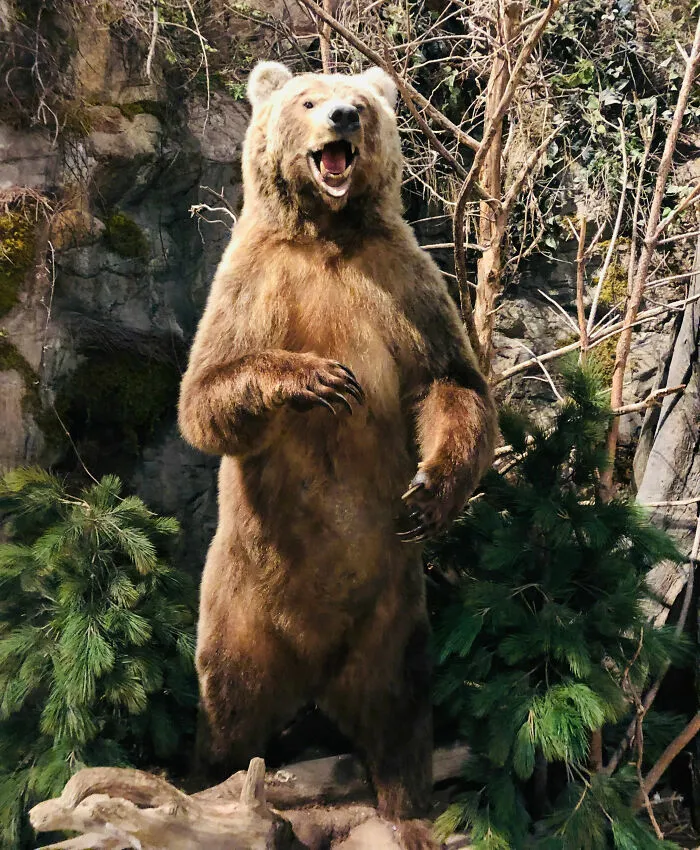 “Footsteps Outside My Tent”: 43 Terrifying Experiences People Have Had In The Woods