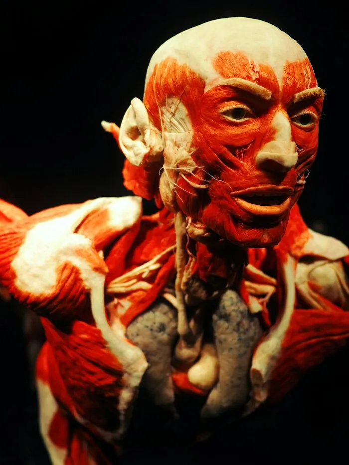 “Your Kidneys Are Selfish”: 59 Facts About The Human Body That Are Both Incredible And Horrifying