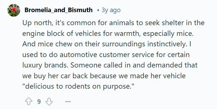 55 Absurdly Laughable Customer Complaints That Made People Lose Brain Cells