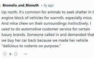 55 Absurdly Laughable Customer Complaints That Made People Lose Brain Cells