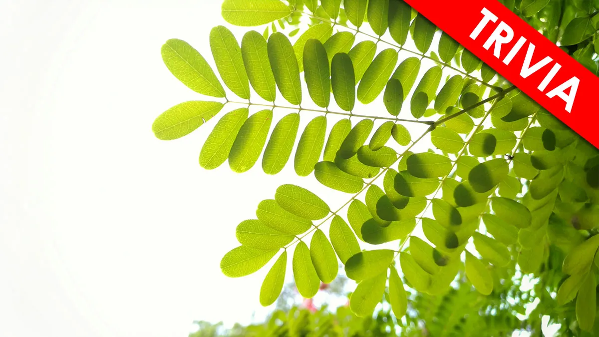 “Are You Smarter Than A Highschooler?”: Try To Score 25/29 On This Biology Vocabulary Quiz