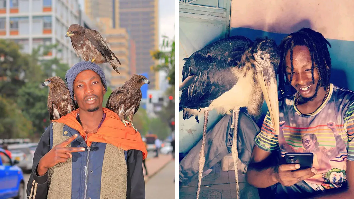 Known As The “Nairobi Birdman,” This Guy Cares For Injured Birds Despite Living On The Streets