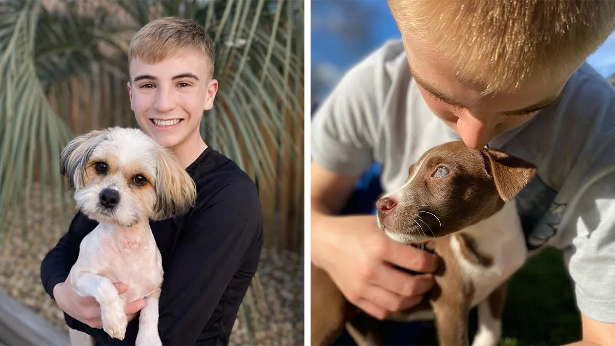 Teen With A Mission: 30 Dogs Whose Lives Were Changed By One Boy