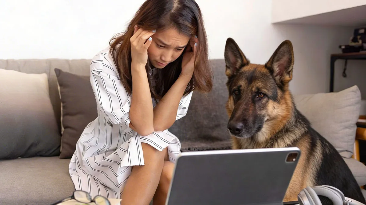 Woman Panics After Savings For Disabled Dog Disappear, Shocked To Learn Her BF Took The Cash