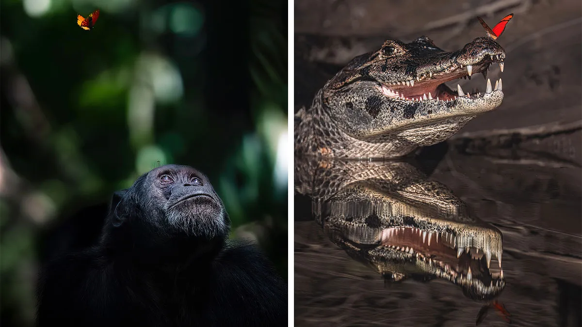 58 Powerful Wildlife Photos That Capture Nature’s Beauty, Drama, And Fragility