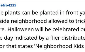 43 Homeowners Share The Most Unhinged HOA Rules They’ve Ever Encountered