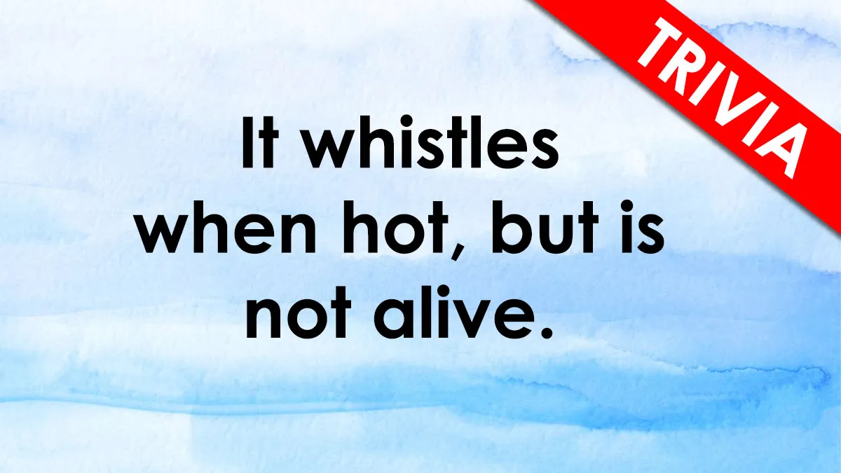Test Your Brain By Guessing The Words From 30 Short But Challenging Hints