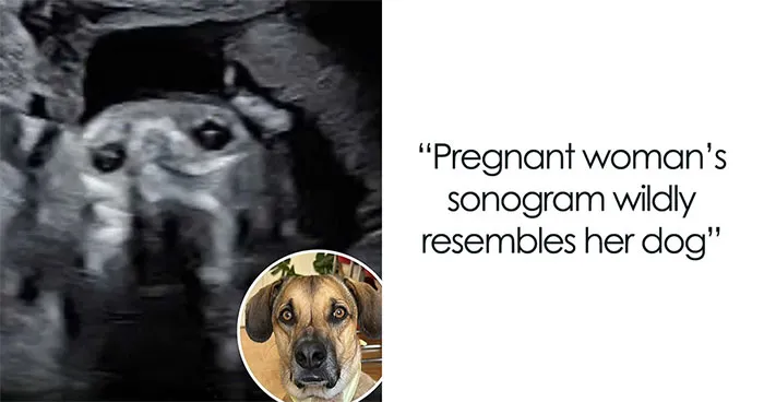 'We Rate Dogs' Shared 50 Stories That Are Funny, Emotional, And Absolutely Heartwarming
