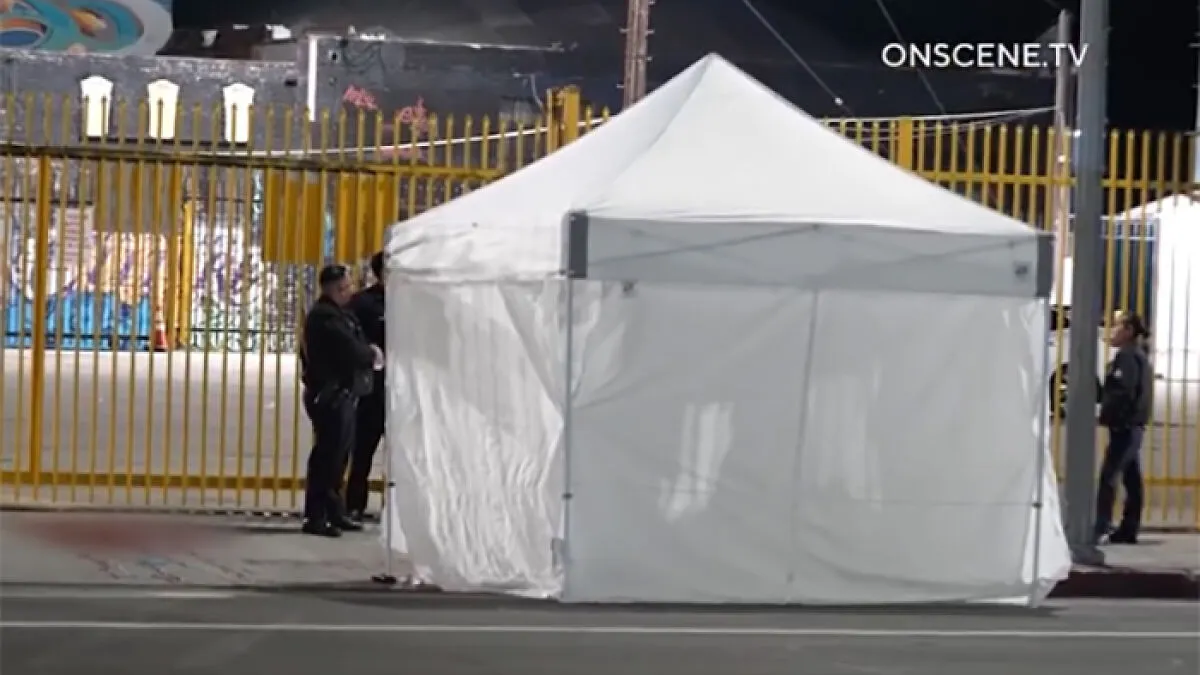 Grisly Scene In Downtown LA As A Man Loses His Life After Removing His Own Package