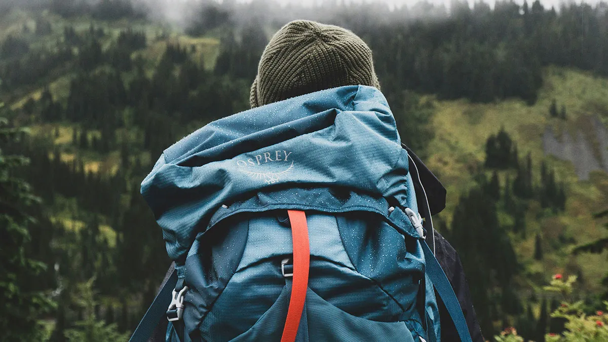 45 Unsettling Trips Into Nature When People Wanted To Leave Immediately