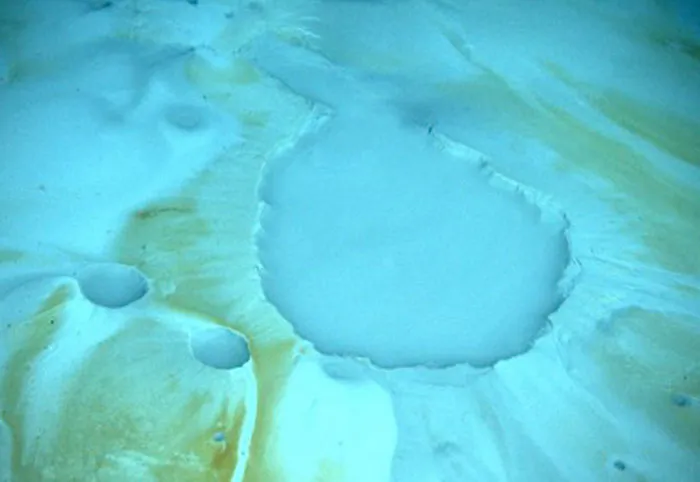 37 Terrifying Facts That Might Make You Afraid Of The Ocean