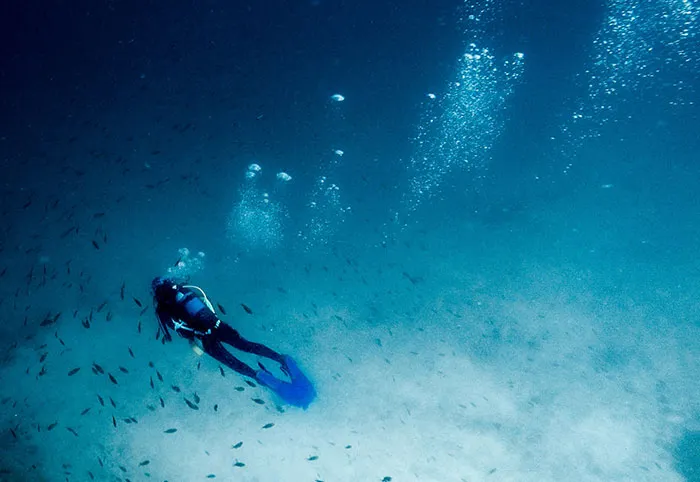 37 Terrifying Facts That Might Make You Afraid Of The Ocean