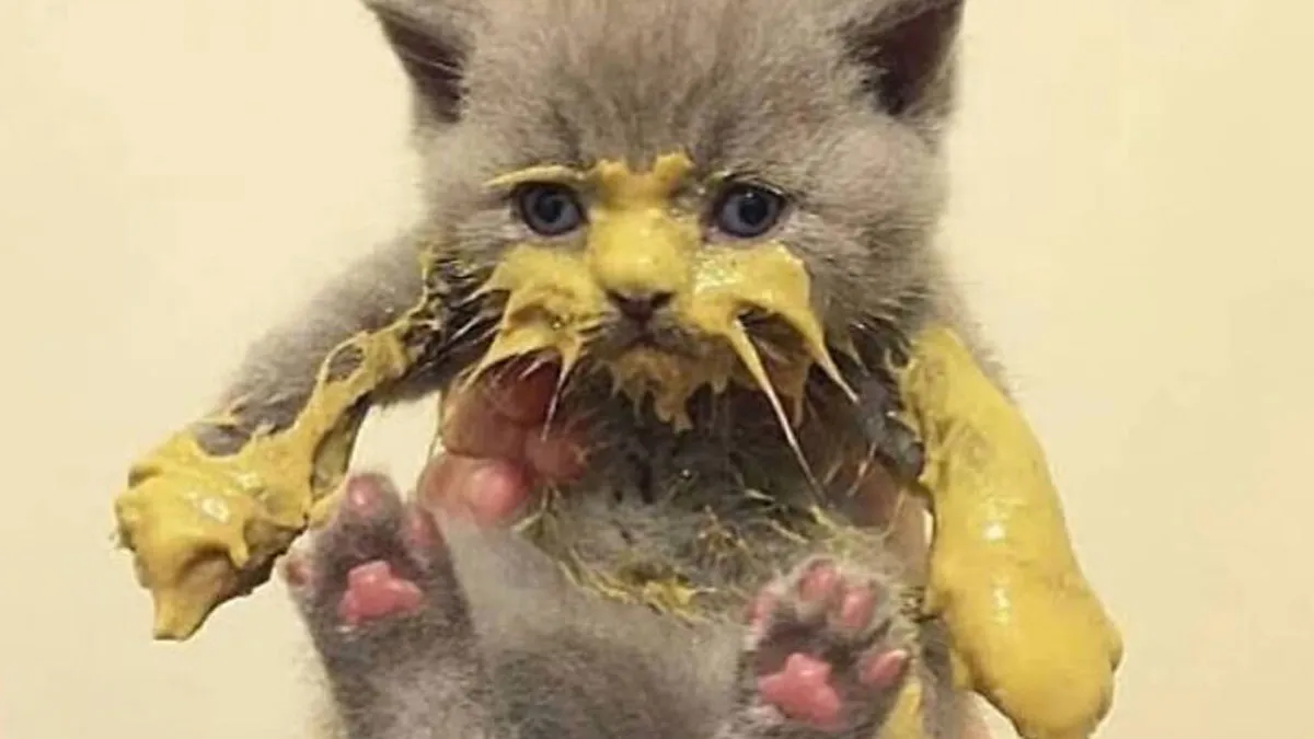 99 Cringey And Absurd Pictures That Are So Bad, They’re Good