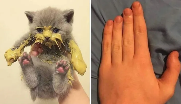 99 Cringey And Absurd Pictures That Are So Bad, They’re Good