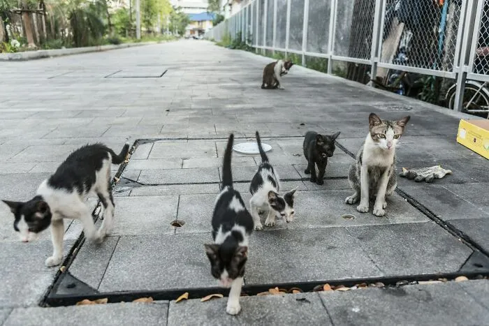 39 Cultural Things People Thought Were Completely Normal Until They Visited Other Countries