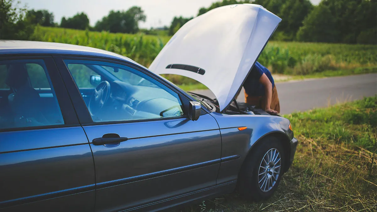 People Debunk 65 Survival Myths That Don’t Work In Real Life