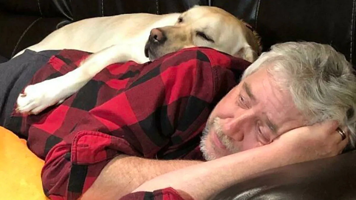 30 Imágenes de padres que no querían una mascota en casa
