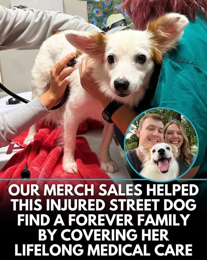'We Rate Dogs' Shared 50 Stories That Are Funny, Emotional, And Absolutely Heartwarming