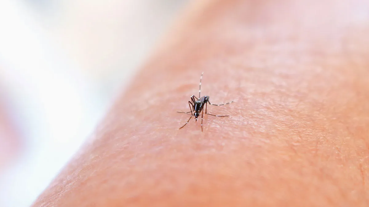73 People Who Ended Up In The ER For The Stupidest And Most Ridiculous Reasons