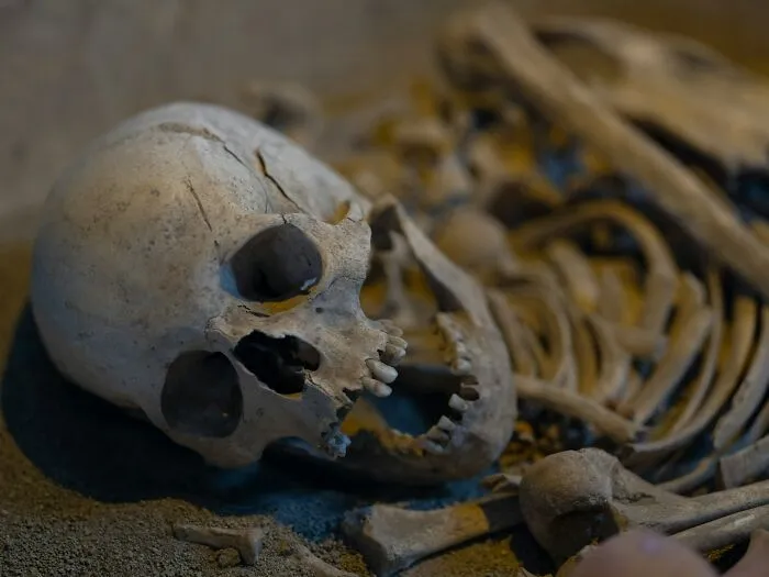 47 Times Archaeologists Dug Up Surprising Finds That Should Have Been Major News