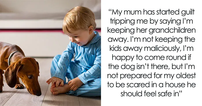 Woman Skips Weekly Dinners Because Of Sis' Chaotic Dog, Parents Say She’s Keeping Grandkids Away