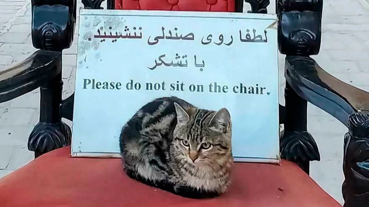 “Your Laws Can’t Contain Me”: 67 Times First-World Anarchists Broke The Rules Just For Fun (New Pics)