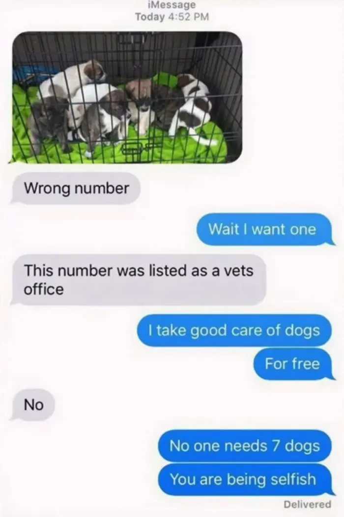 51 Unhinged Text Messages People Received That Were So Funny They Had To Screenshot Them