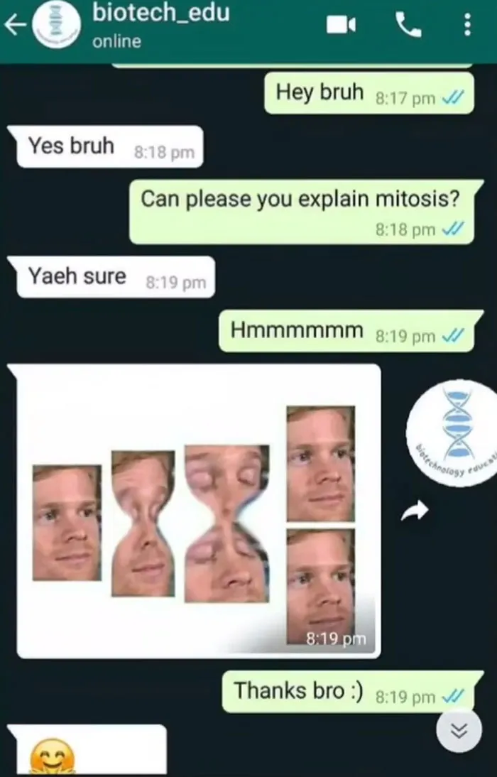 51 Unhinged Text Messages People Received That Were So Funny They Had To Screenshot Them