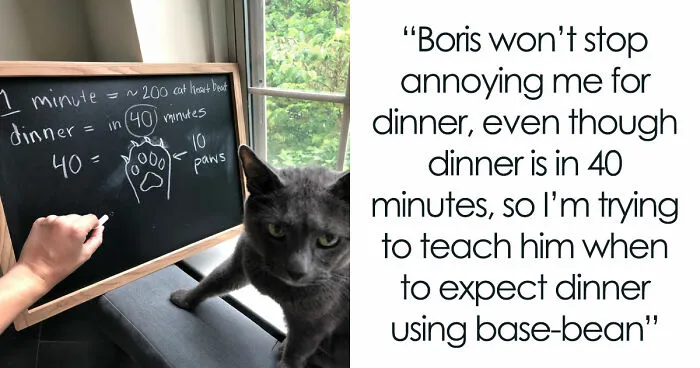 87 Hilarious Tumblr Posts That Prove People There Just Have A Different Sense Of Humor
